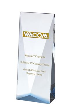 AC138 Engraved Optical Crystal Award